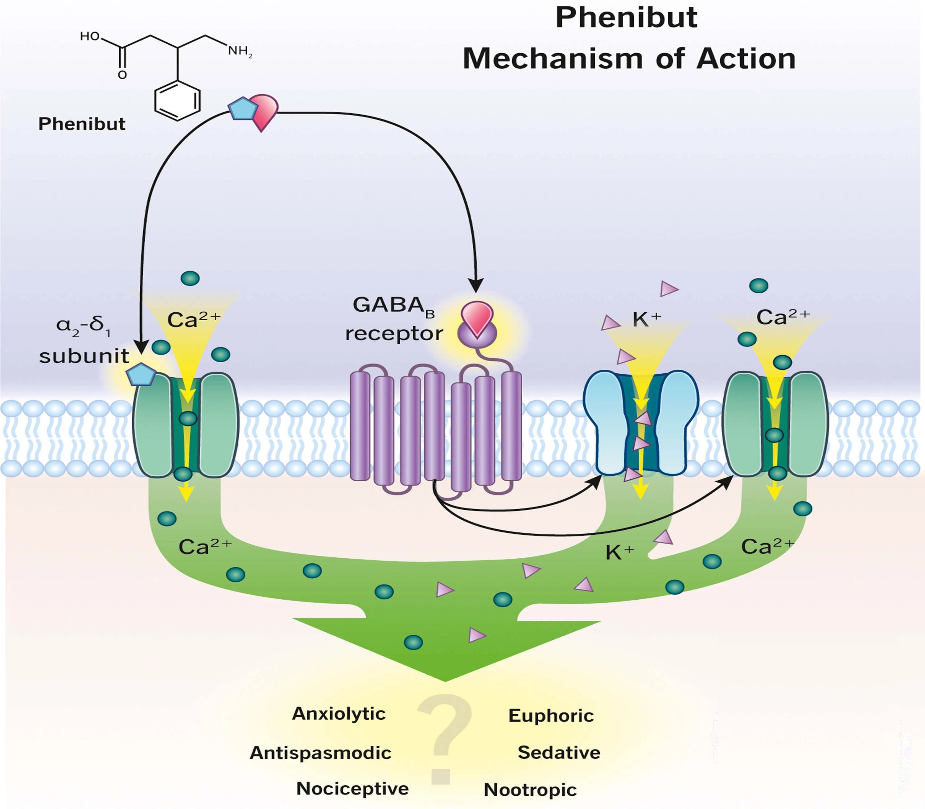 Phenibut hcl powder Phenibut hcl powder