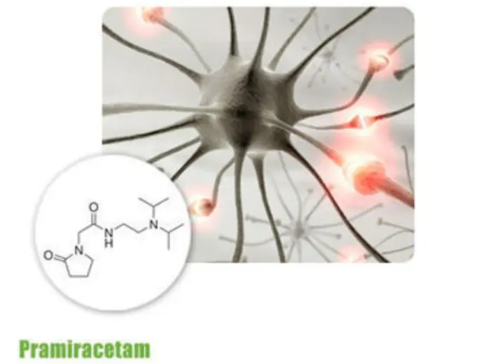 Nootropics pramiracetam powder