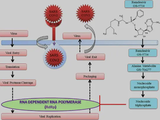 Mechanism os Remdesivir Mechanism os Remdesivir