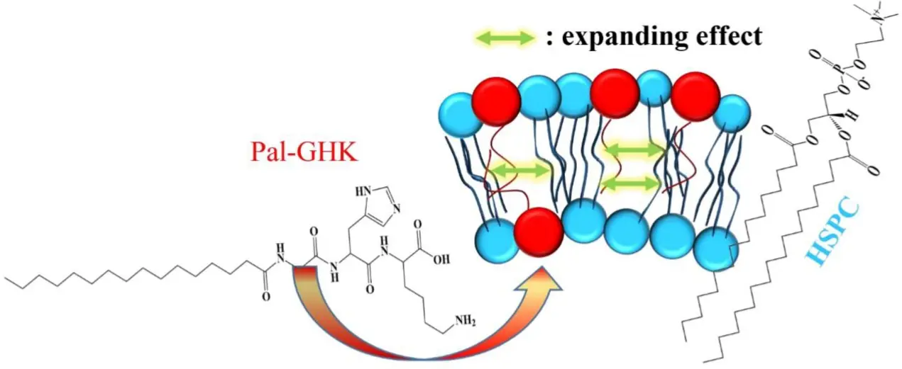 Palmitoyl Tripeptide-1 powder