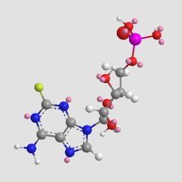 3D MF of Fludarabine phosphate powder