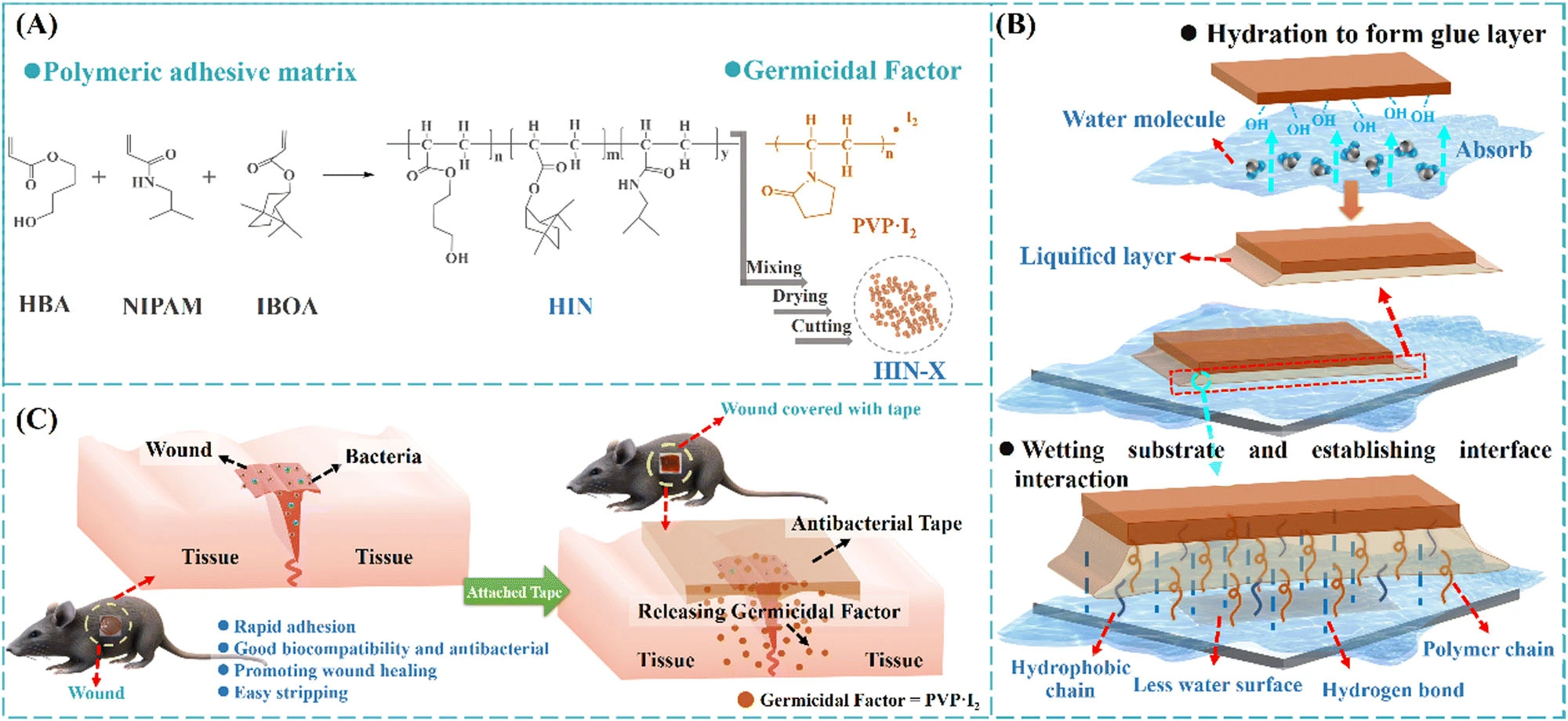 Research on Povidone iodine API powder