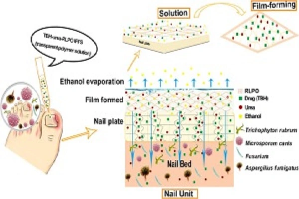 Terbinafine Hydrochloride Powder