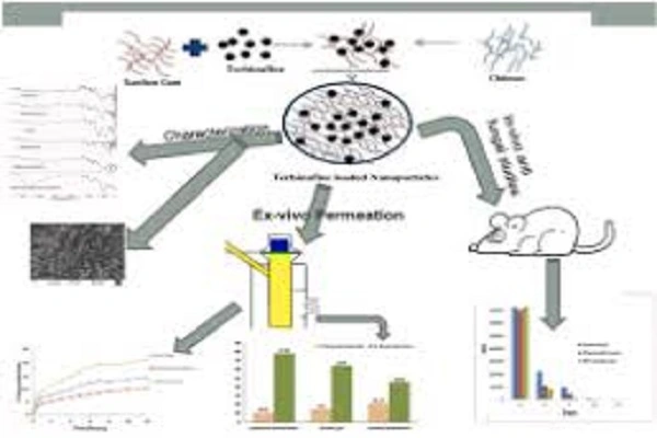 Terbinafine Hydrochloride Powder efficacy diagram Terbinafine Hydrochloride Powder efficacy diagram