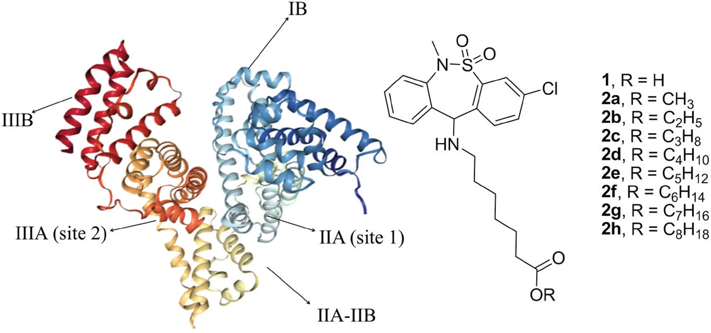  Tianeptine sodium powder