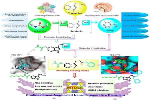 5-Methoxytryptamine powder efficacy diagram 5-Methoxytryptamine powder efficacy diagram