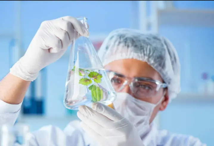 Medroxyprogesterone powder