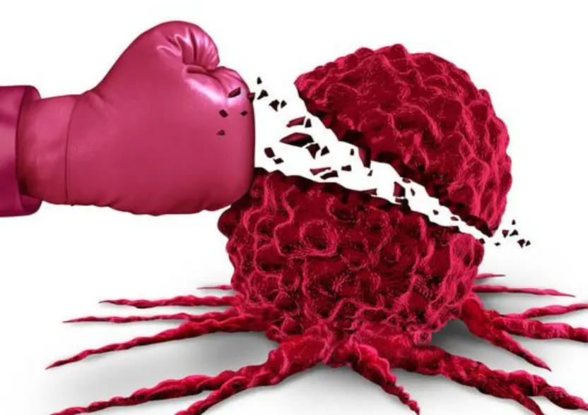 Medroxyprogesterone powder