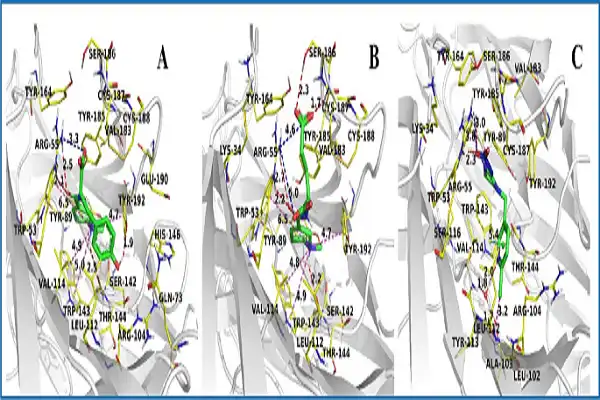 Arecoline Hydrobromide Powder efficacy chart Arecoline Hydrobromide Powder efficacy chart