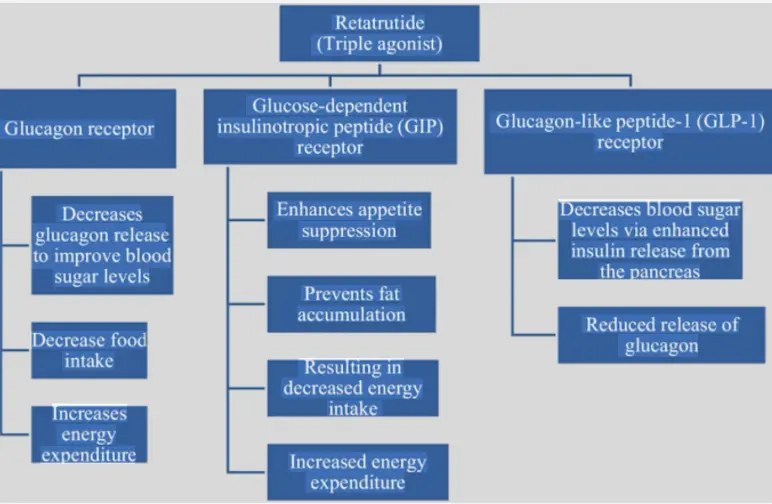 mechanism action of retatrutide mechanism action of retatrutide