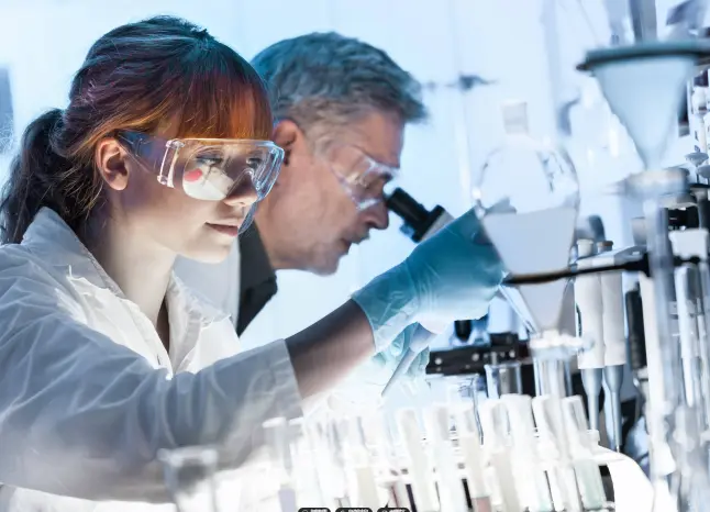 Ethyl 6,8-dichlorocaprylate Ethyl 6,8-dichlorocaprylate