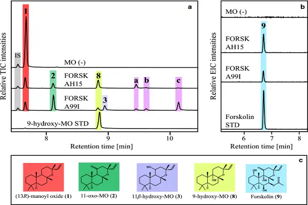 Forskolin Powder efficacy chart