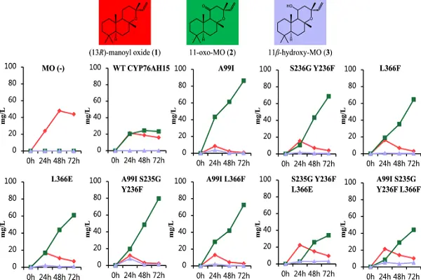 Forskolin Powder efficacy chart1