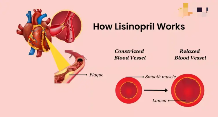 how lisinopril works