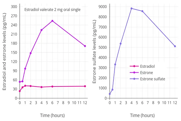 Estradiol Valerate Powder