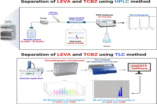 Tetramisole Hcl efficacy diagram Tetramisole Hcl efficacy diagram