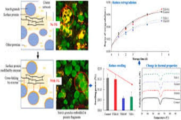 Transglutaminase Powder efficacy chart 1 Transglutaminase Powder efficacy chart 1