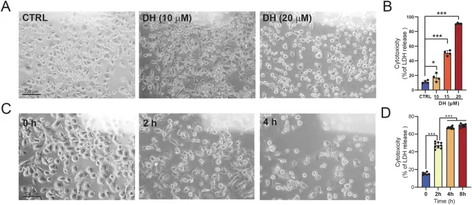Dronedarone Hydrochloride Powder Dronedarone Hydrochloride Powder
