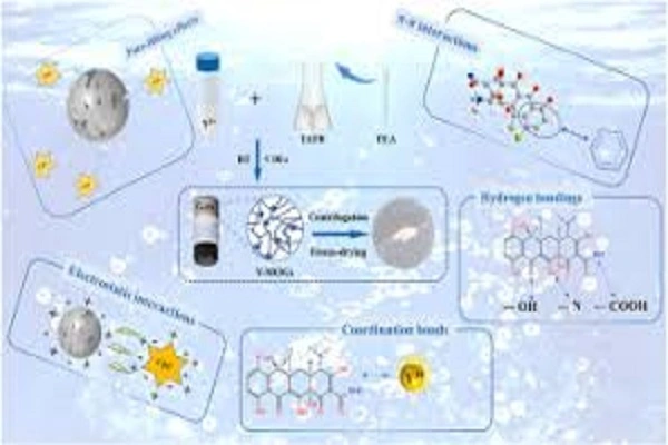 Chlortetracycline Hydrochloride Powder 