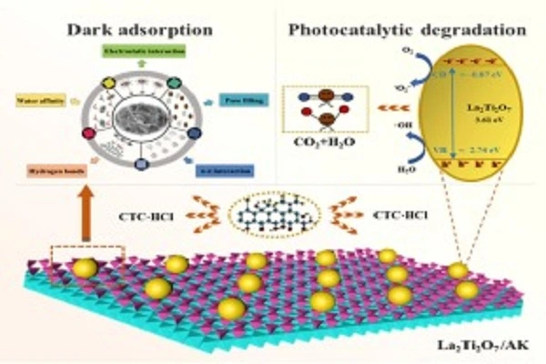 Chlortetracycline Hydrochloride Powder efficacy diagram