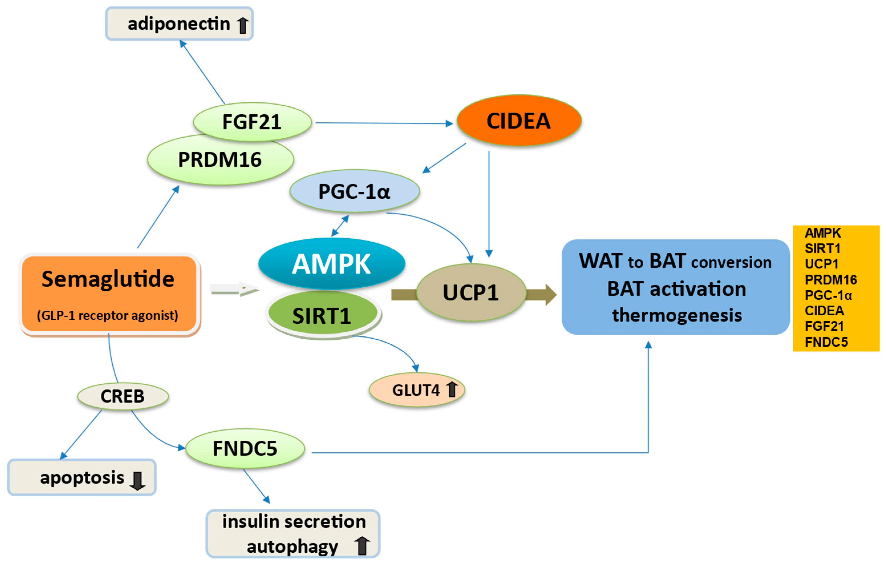 Semaglutide 99% powder Semaglutide 99% powder