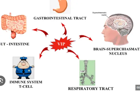 VIP can treat COVID-19 VIP can treat COVID-19