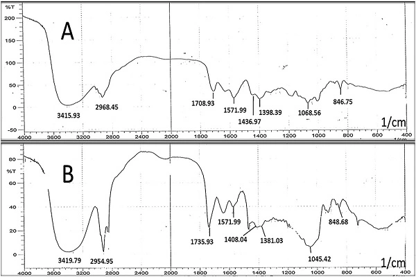 Nystatin Powder Nystatin Powder