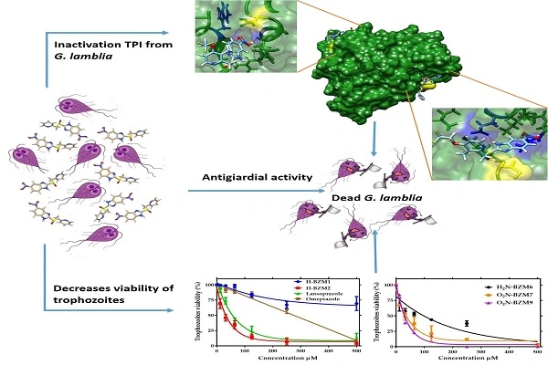 Omeprazole Powder 11