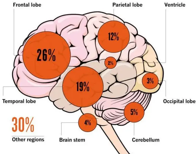 Tianeptine sulphate powder