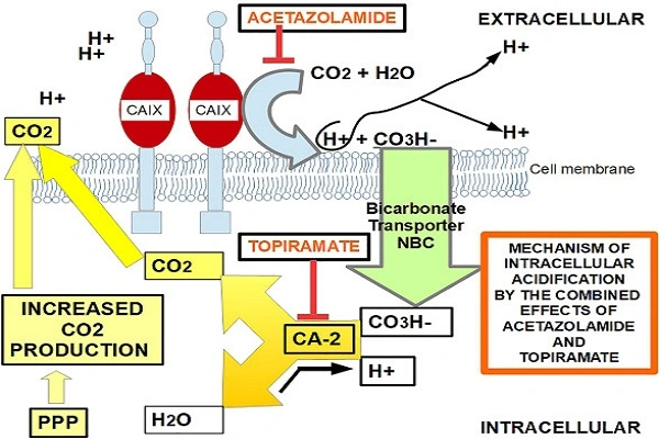 Topiramate Powder Topiramate Powder