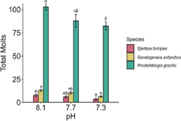 Epitalon Powder 11 Epitalon Powder 11