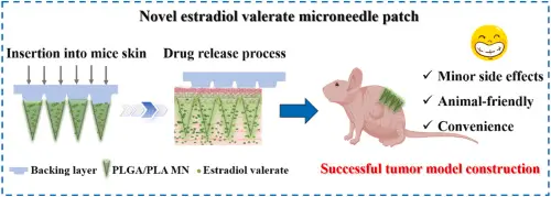 Research and experiment of Estradiol undecylate Powder