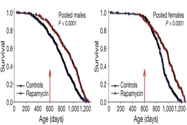 Rapamycin Powder efficacy chart Rapamycin Powder efficacy chart