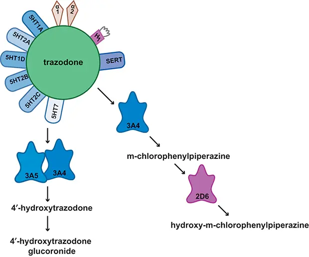 Trazodone hcl API powder Trazodone hcl API powder