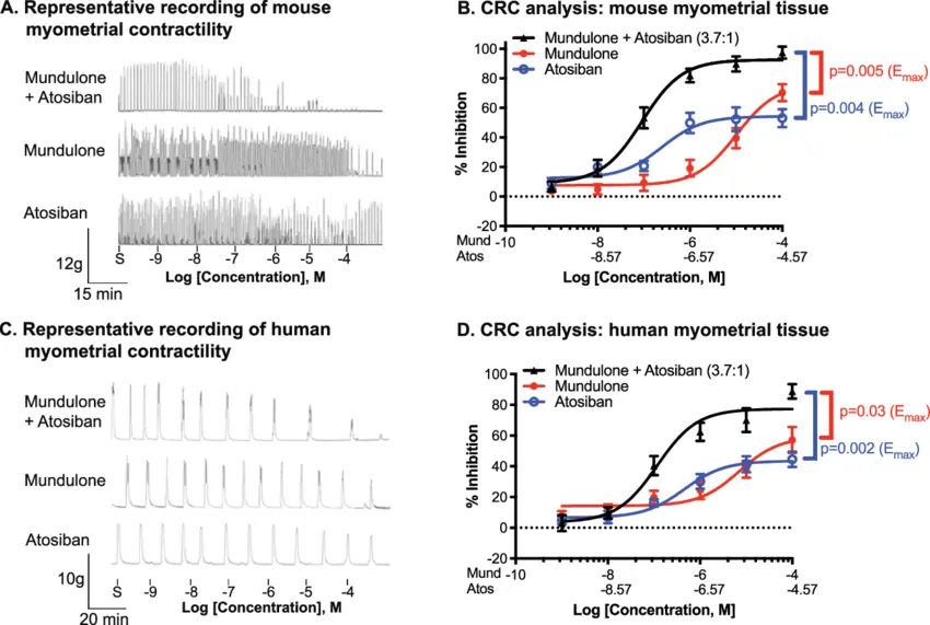Ex vivo tocolytic effect of mundulone and atosiban combination Ex vivo tocolytic effect of mundulone and atosiban combination