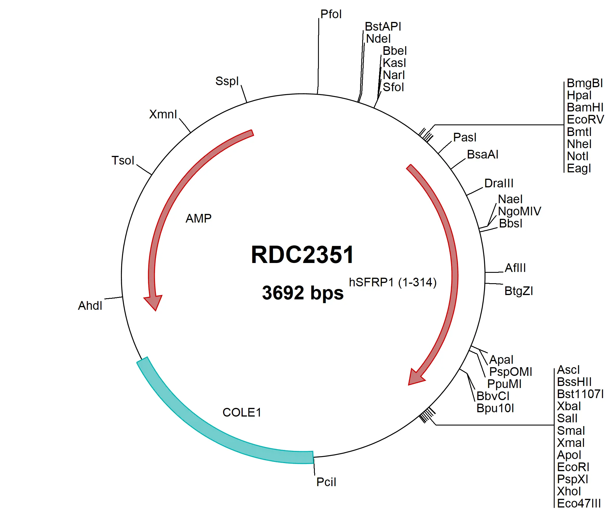 WAY-316606 powder WAY-316606 powder