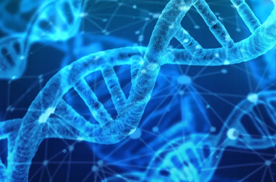 DNA Sodium salt DNA Sodium salt