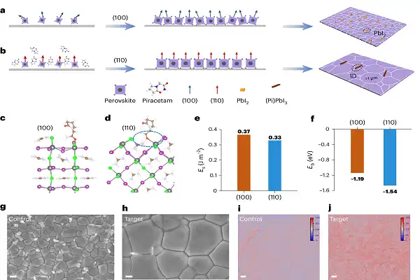 Piracetam Api Powder