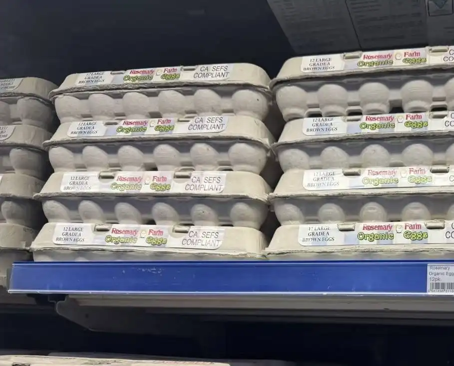 The shortage of eggs in the United States