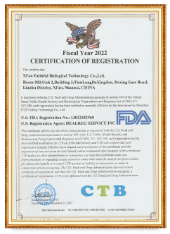 Certification Certification