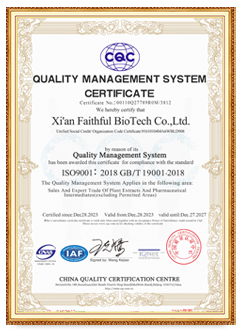 Certification Certification