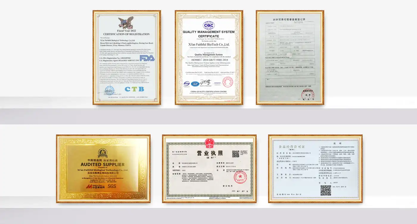 Qualification Certification