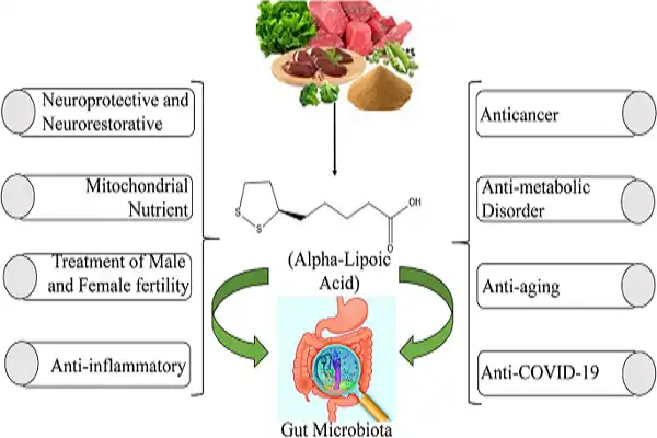 Alpha Lipoic Acid Powder 