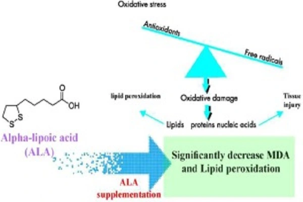 Alpha Lipoic Acid Powder Efficacy Chart