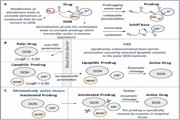 6-Diazo-5-Oxo-L-Norleucine Action Diagram