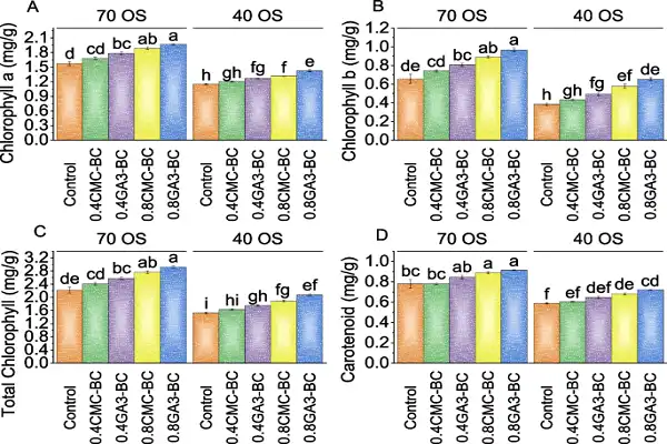 Gibberellic Acid Powder Gibberellic Acid Powder