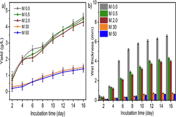 9-Me-Bc Powder 9-Me-Bc Powder
