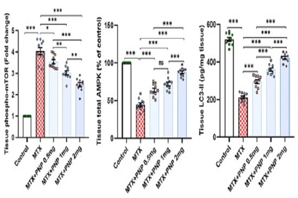 Methotrexate Powder Methotrexate Powder
