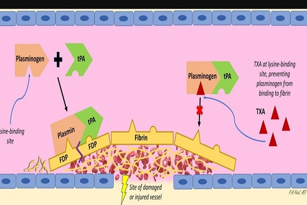 Tranexamic acid Powder Efficacy Chart Tranexamic acid Powder Efficacy Chart
