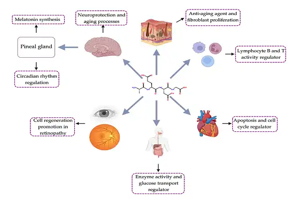 Epitalon Powder Epitalon Powder